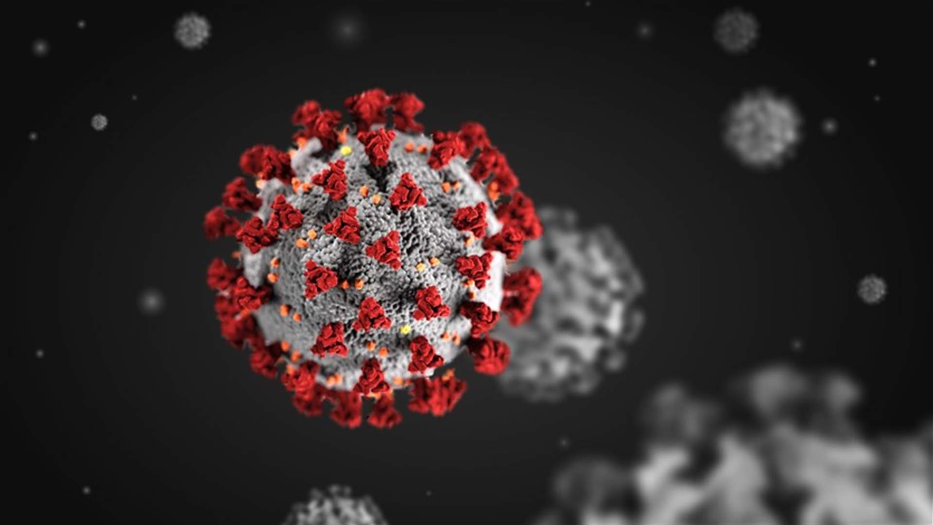 The daily report on coronavirus in Lebanon