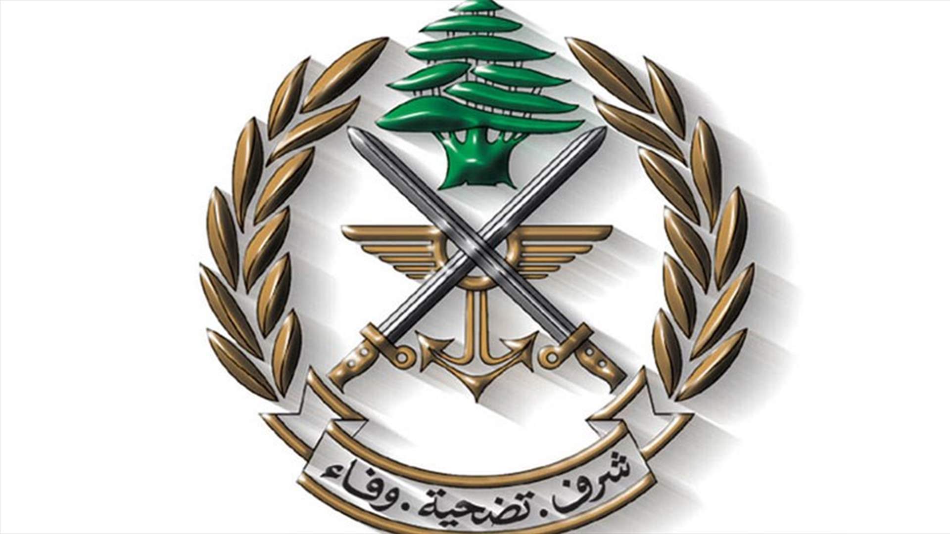 الجيش: طيران ليلي للقوات الجوية بين عدد من القواعد