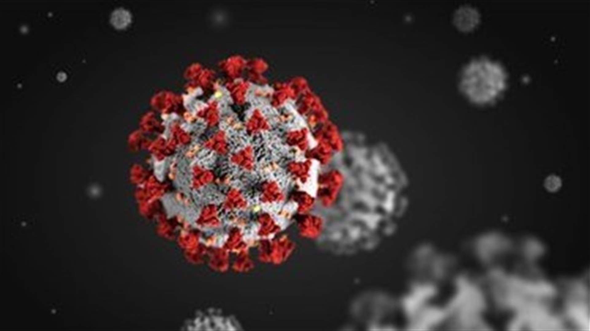 The daily report on coronavirus in Lebanon