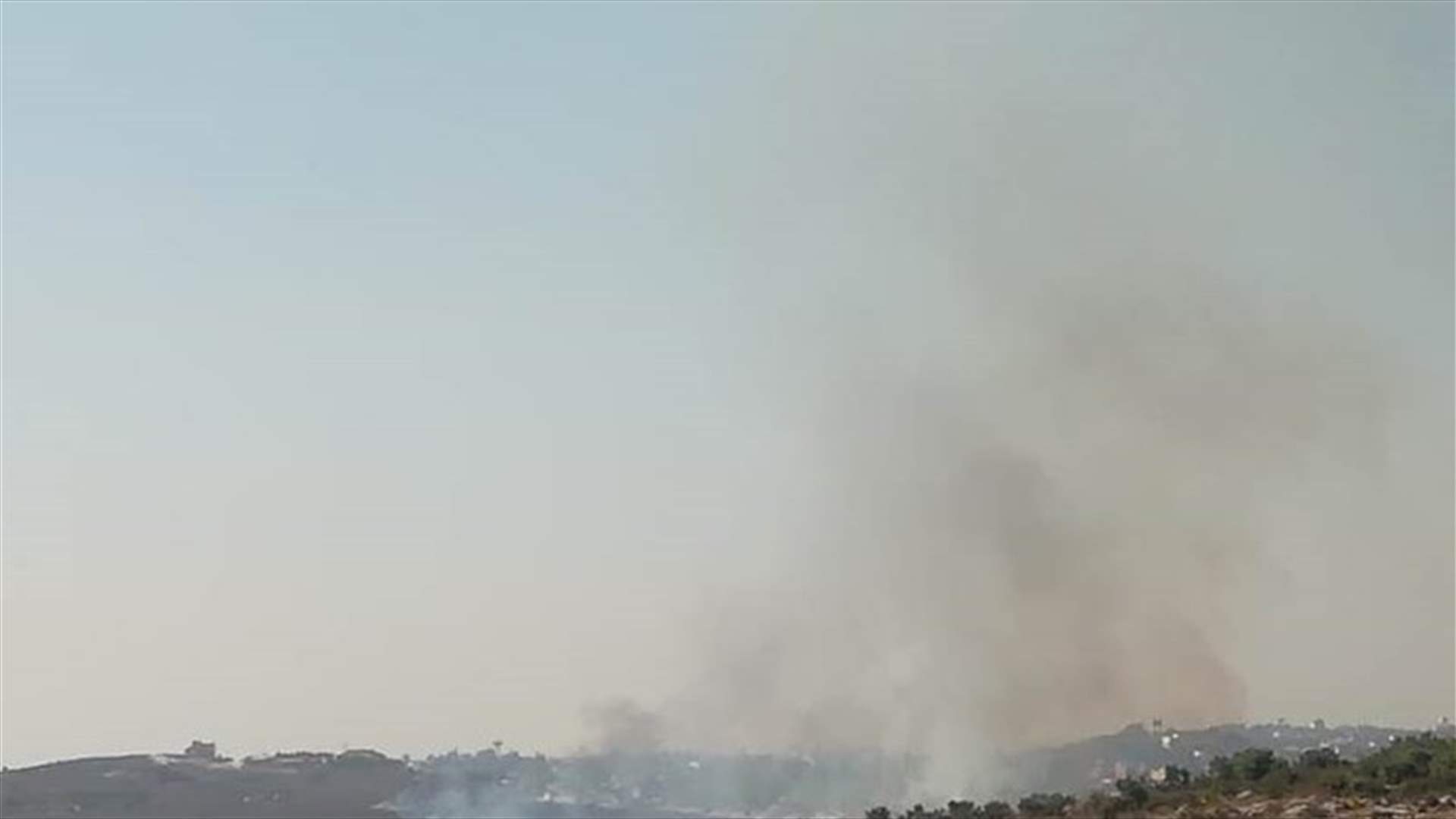 حريق بين دير الزهراني وعزة... ومناشدة للمساعدة في إطفائه