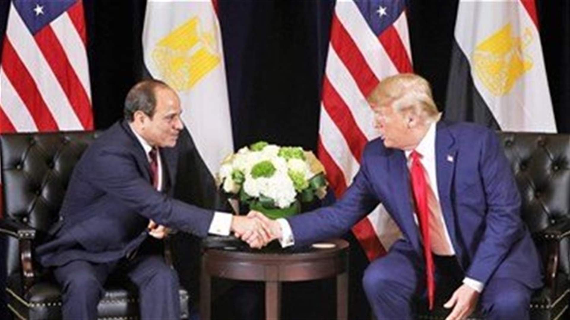 Trump, Egypt's Sisi agree to maintain ceasefire in Libya - Egyptian presidency
