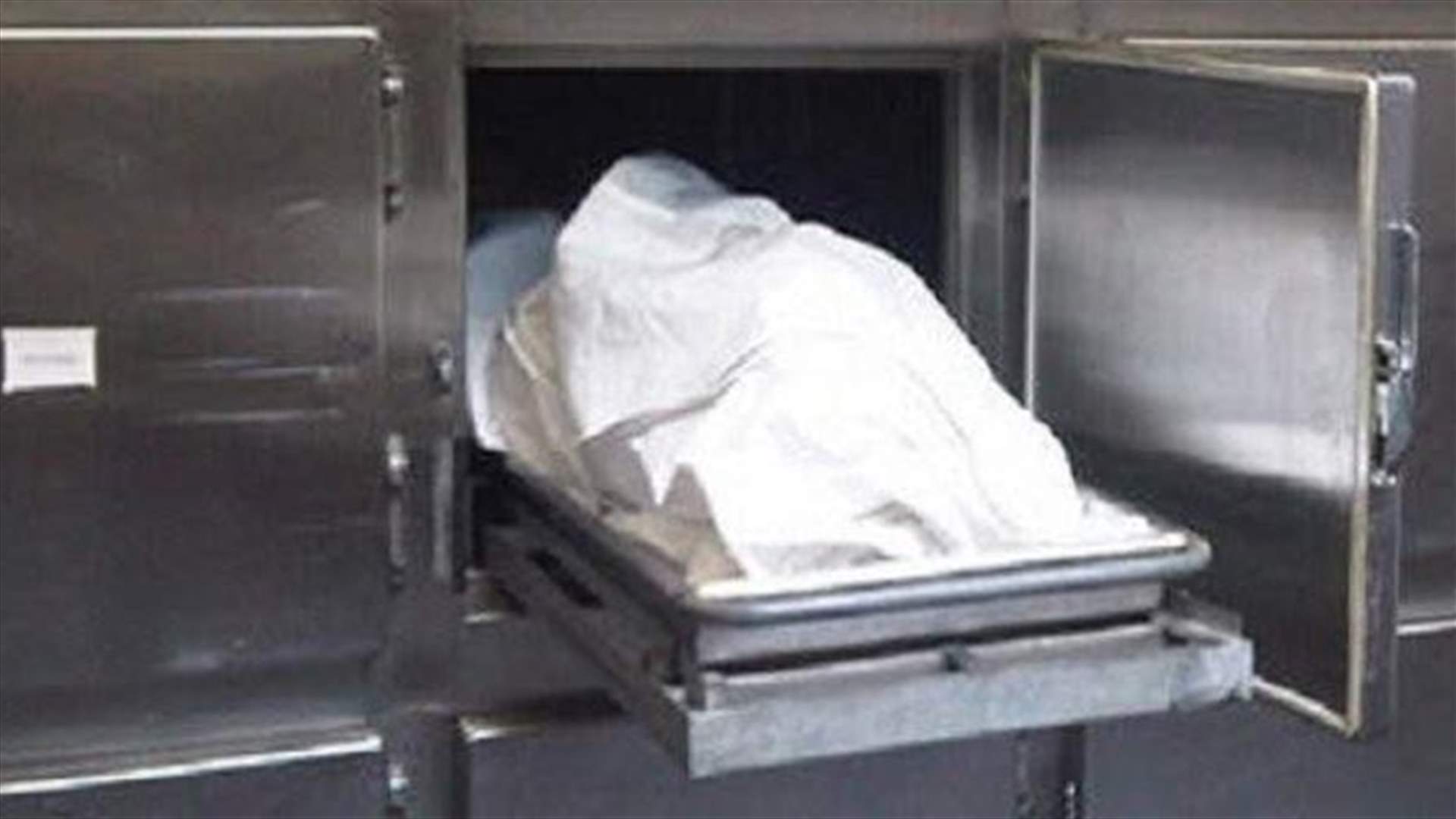 مقتل طفلتين اثر حادث صدم على طريق عام مليخ...