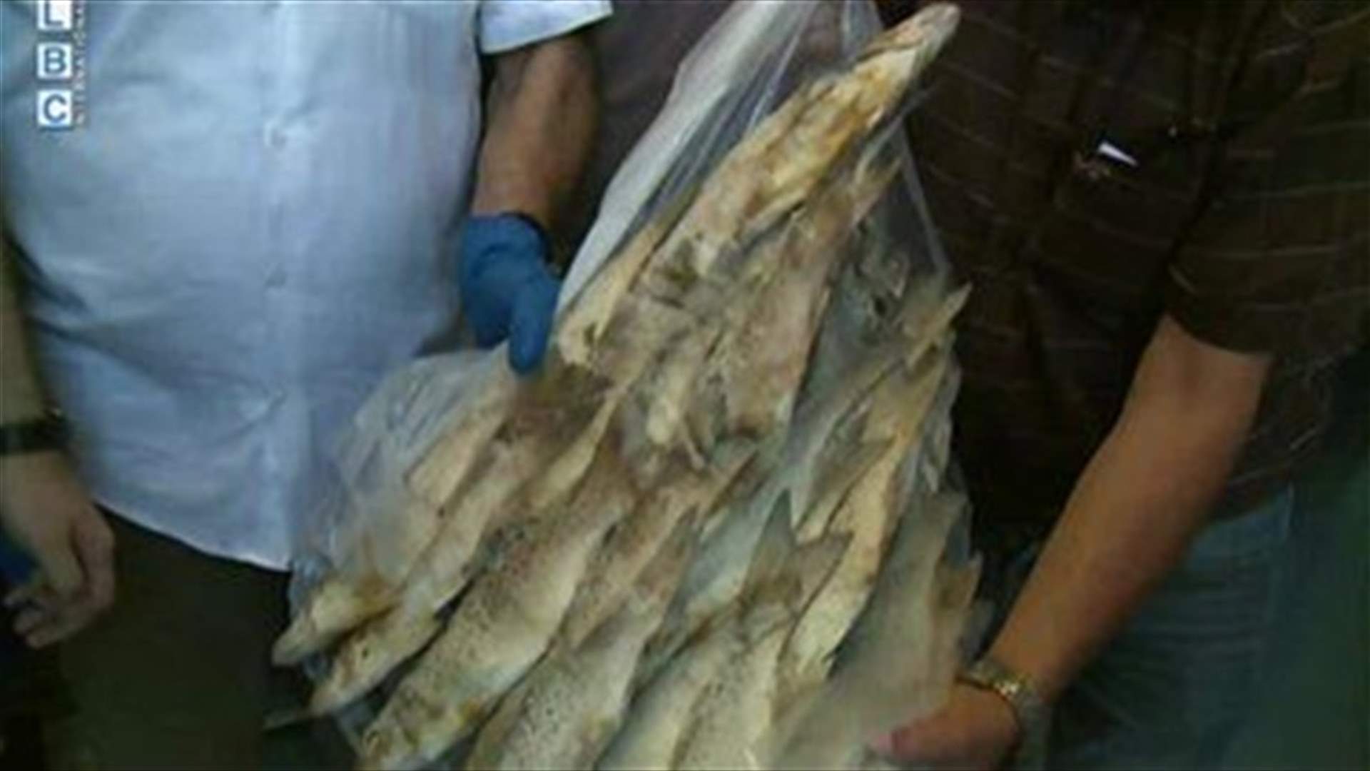 Ministry of Agriculture raids fish warehouse in Zalka