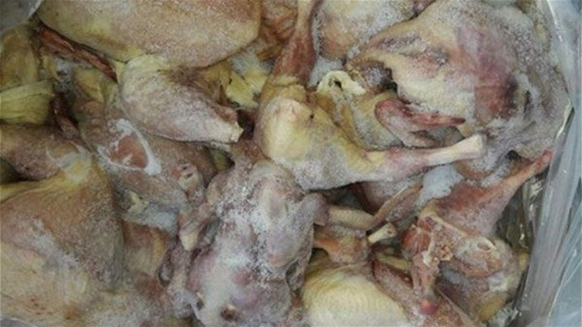 ضبط كميات كبيرة من لحوم الدجاج الفاسد والمنتهية الصلاحية... إليكم التفاصيل