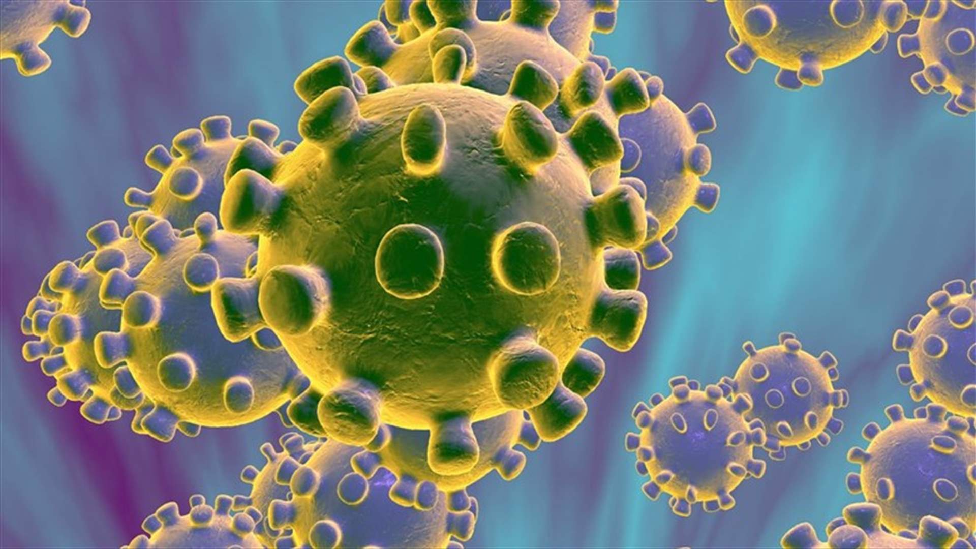 The daily report on coronavirus in Lebanon
