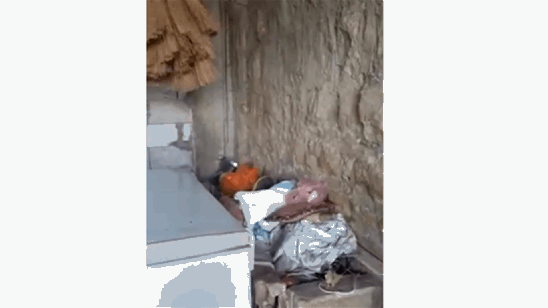 دهم مستودع يحتوي على كمية من لحم الخنزير موضب داخل اكياس بطريقة غير مطابقة (فيديو)