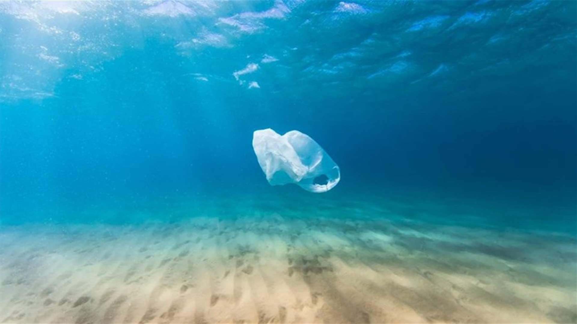 في اليابان... تطوير أكياس قابلة للتحلل في مياه البحور للحدّ من تلوّثها