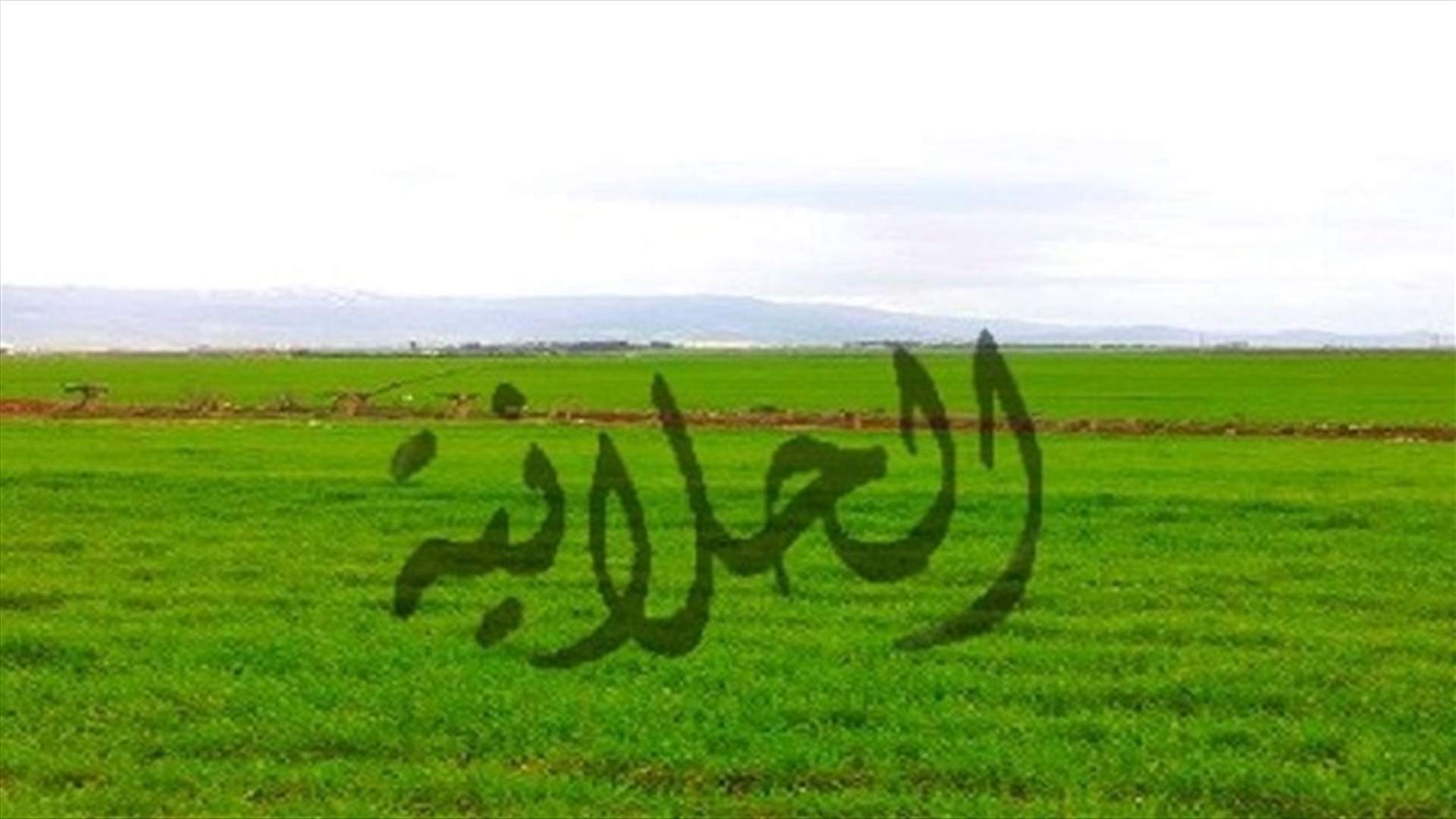 عزل قرية الحلانية بعد ثبوت ٤٩ حالة ايجابية