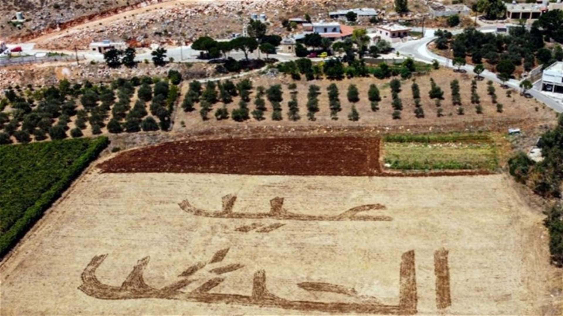 حرث كلمة "عيد الجيش" أثناء عمله في أرضه...  (صورة)