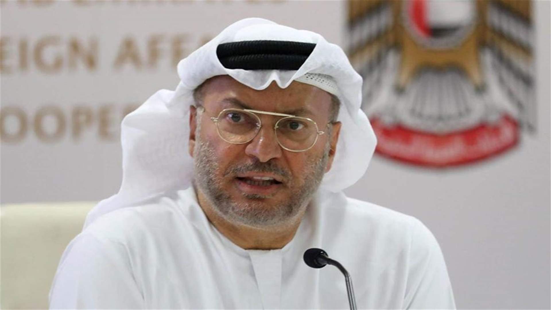 قرقاش: على تركيا التوقف عن التدخل في الشأن العربي