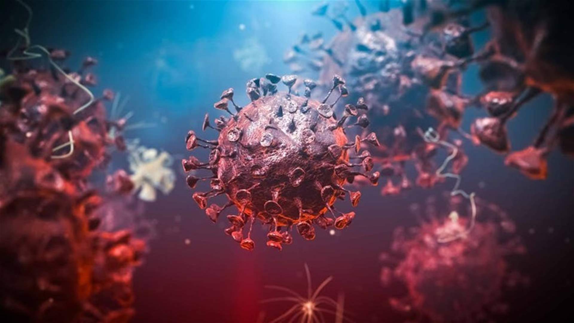 لا إصابات جديدة بكورونا في عكار... اليكم التفاصيل