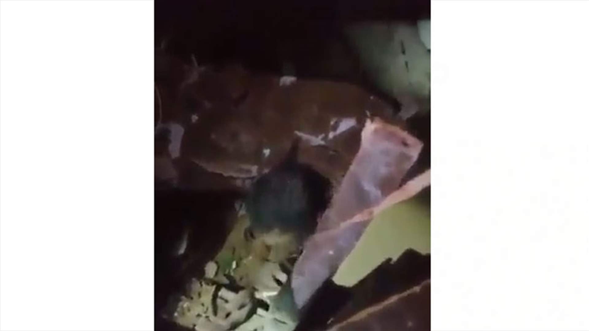 فيديو لانقاذ طفلة من تحت الركام في الجميزة