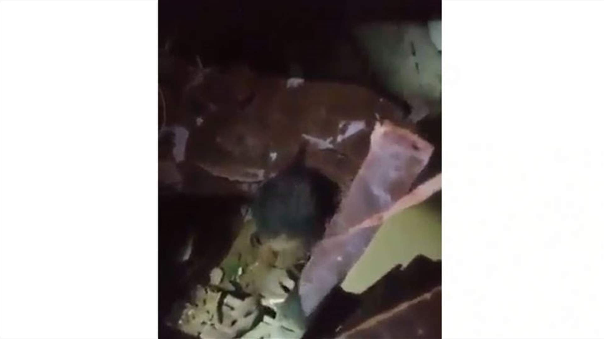 Child saved from debris in Gemmayze – [VIDEO]