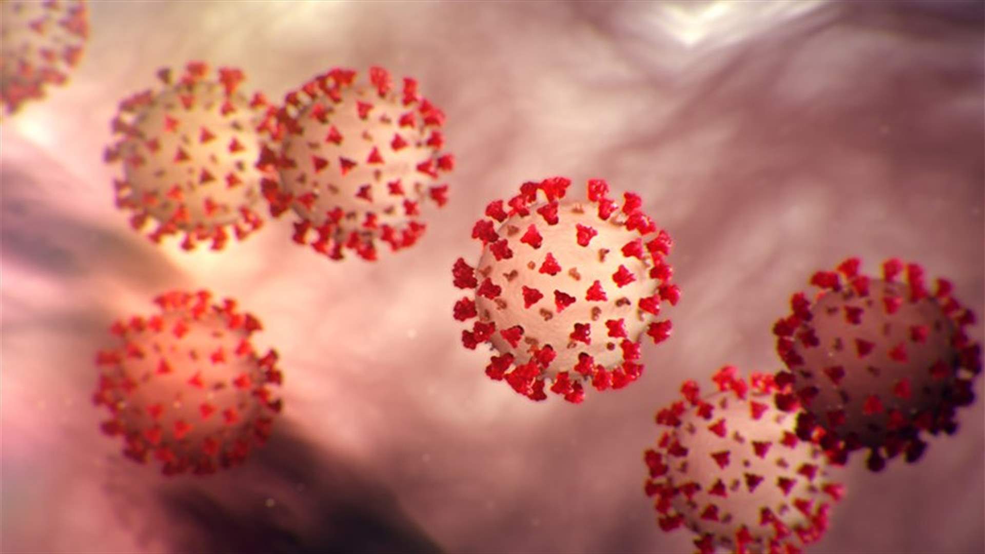 The daily report on coronavirus in Lebanon