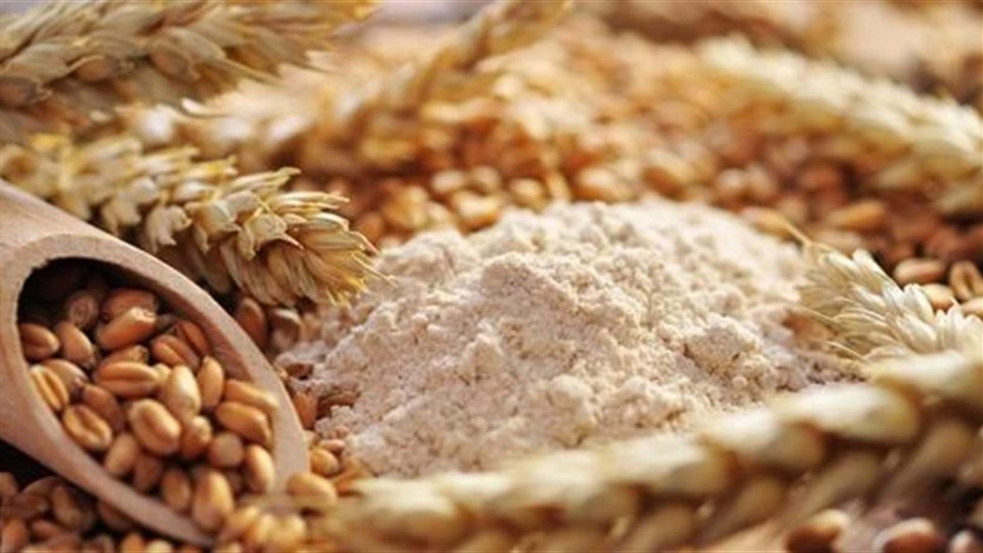 الأمم المتحدة: برنامج الأغذية العالمي سيرسل 50 ألف طن من طحين القمح إلى لبنان
