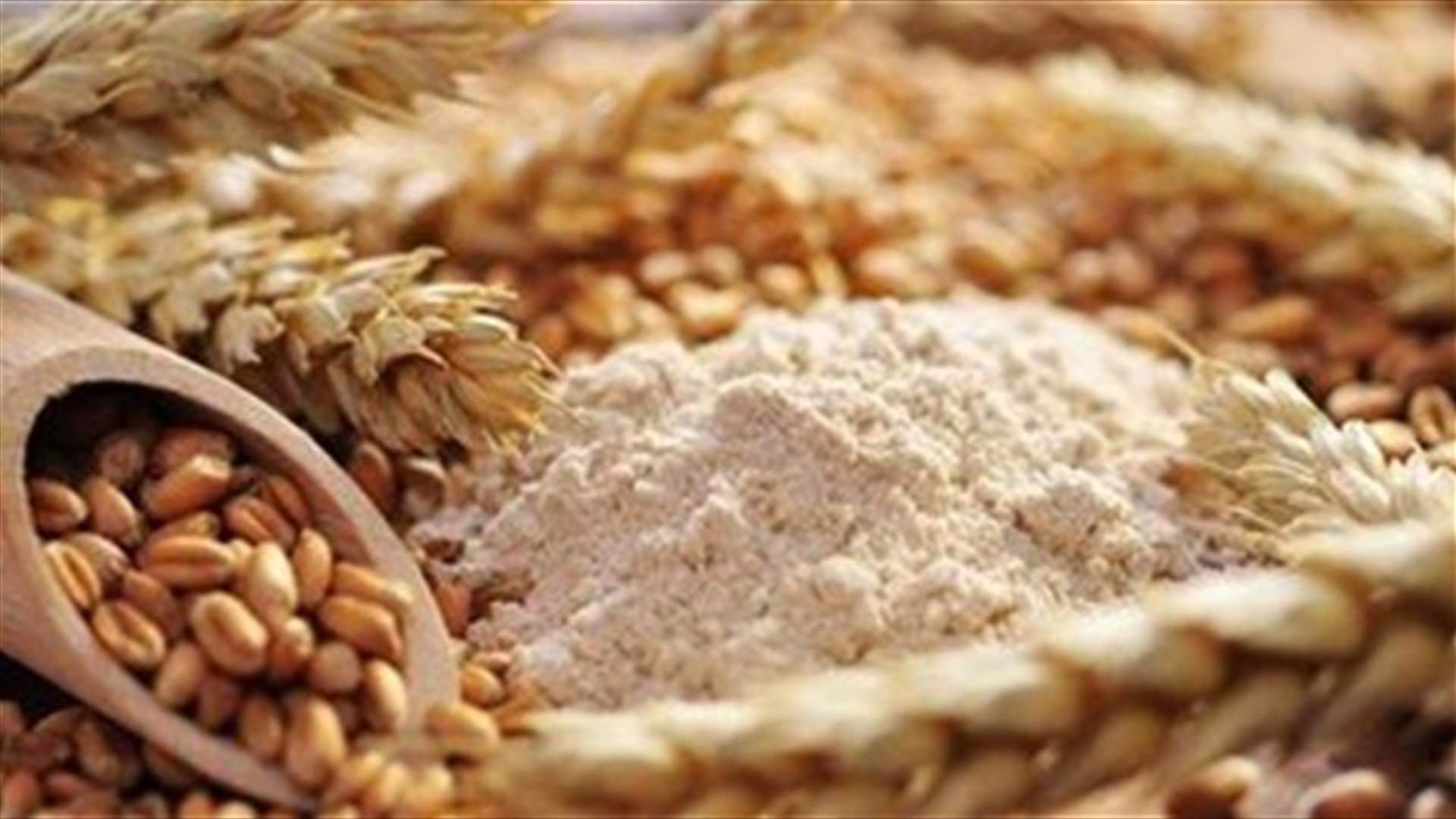 World Food Program to send 50,000 T of wheat flour to Lebanon - UN