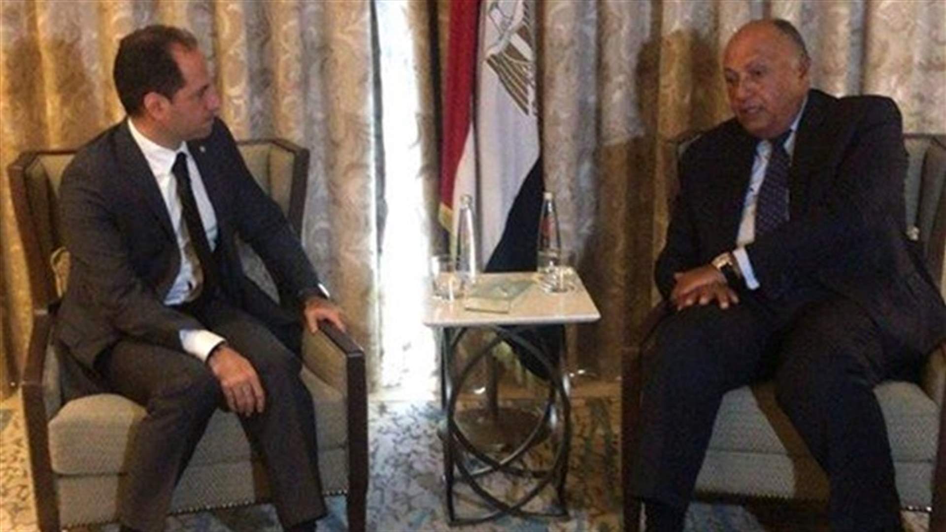 سامي الجميل التقى شكري: خارطة طريق للخروج من الأزمة ولجنة تحقيق دولية لتحديد المسؤوليات