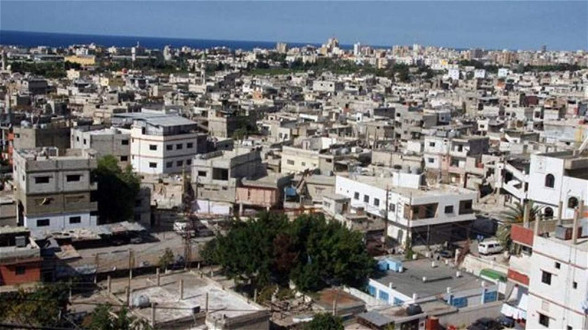 أخذ 56 عينة من مخالطين في مخيم عين الحلوة
