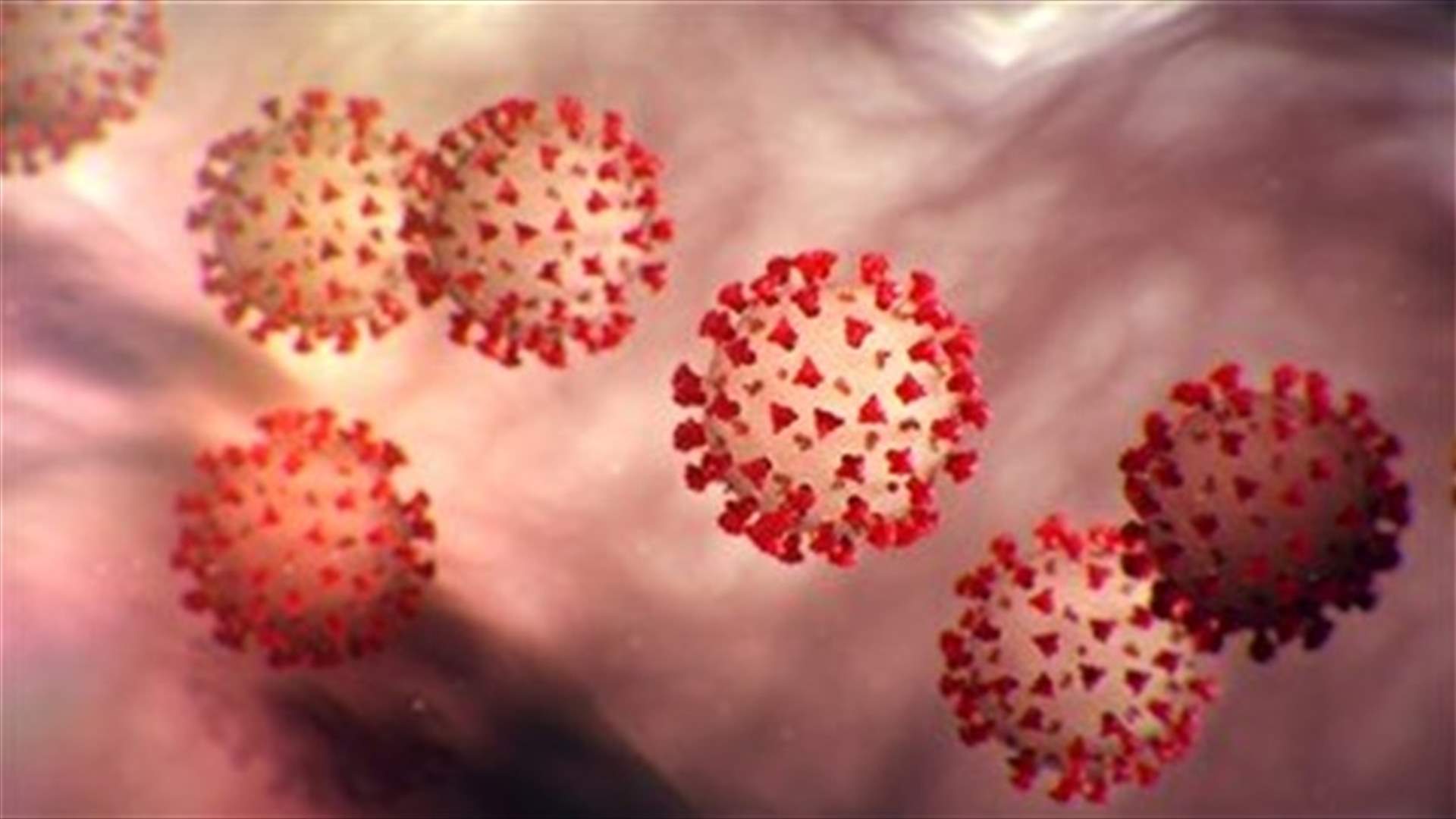 Number of Coronavirus cases jumps to 589