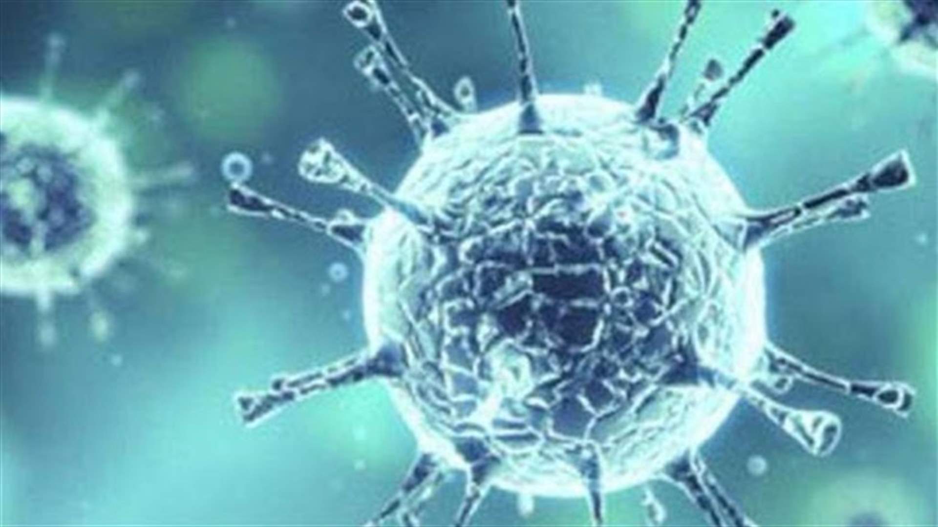 أمانة سر مجلس البطاركة والاساقفة الكاثوليك دعت الى التقيد بتدابير الوقاية من كورونا