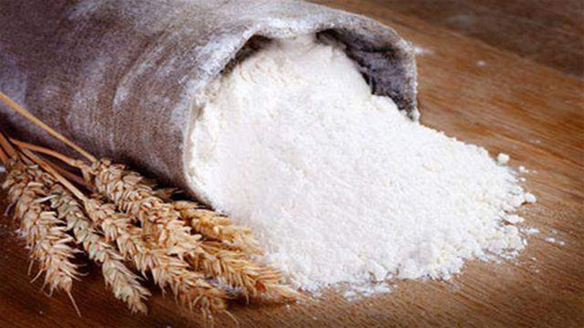 نقابة عمال ومستخدمي المطاحن: الحصول على الطحين بدلا من القمح سيؤدي الى توقف العديد من المطاحن عن العمل