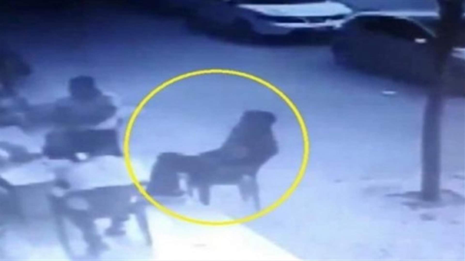 طفل يسقط من الطابق الثالث وينجو من الموت بأعجوبة... فيديو يحبس الأنفاس!