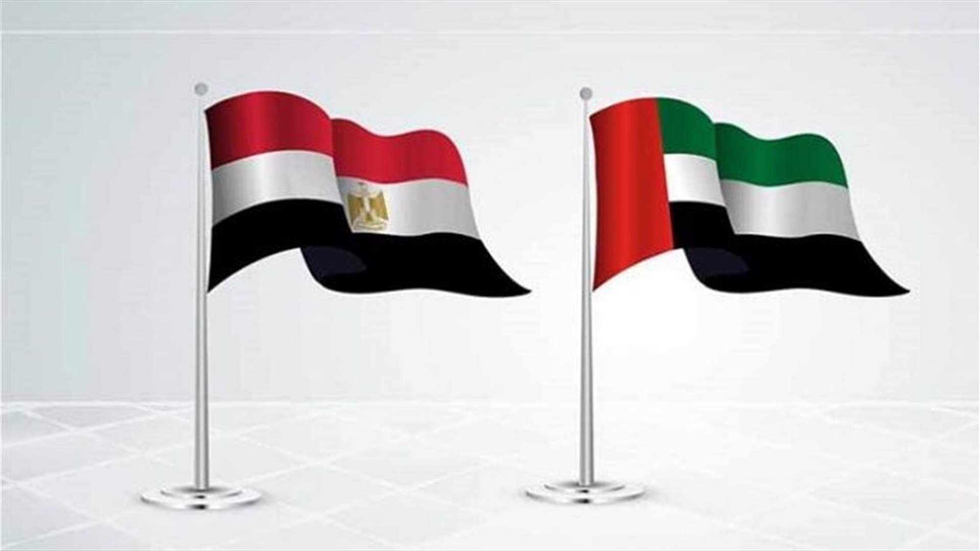 الإمارات ومصر تناقشان الوضع في شرق المتوسط