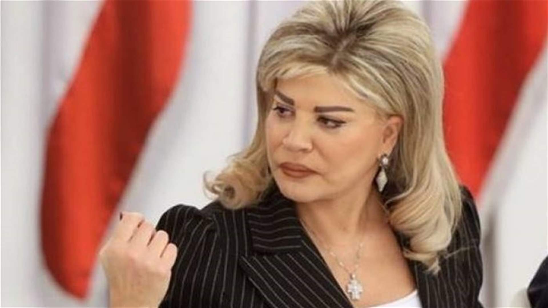 شدياق: التحقيق الدولي السبيل الوحيد لمحاسبة المسؤولين