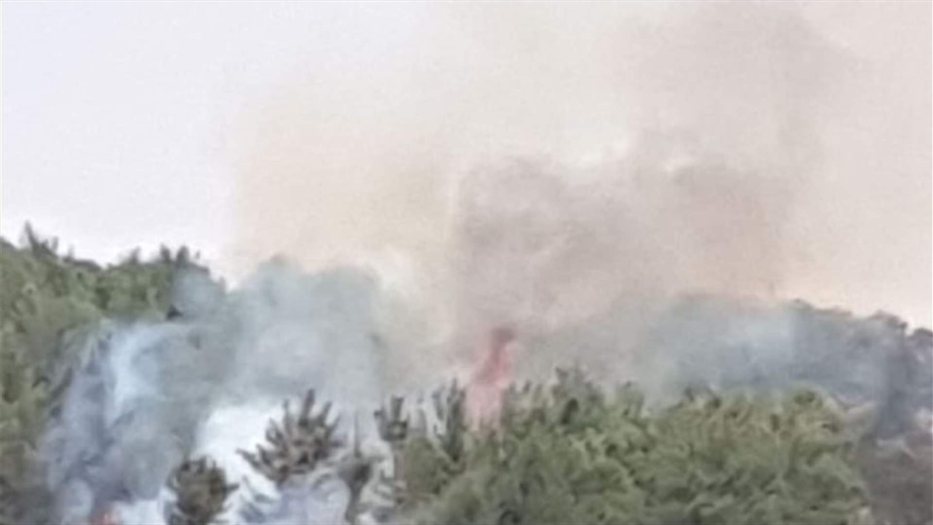 حريق كبير في جبل المنيطرة...  والخازن يناشد الدفاع المدني والجيش