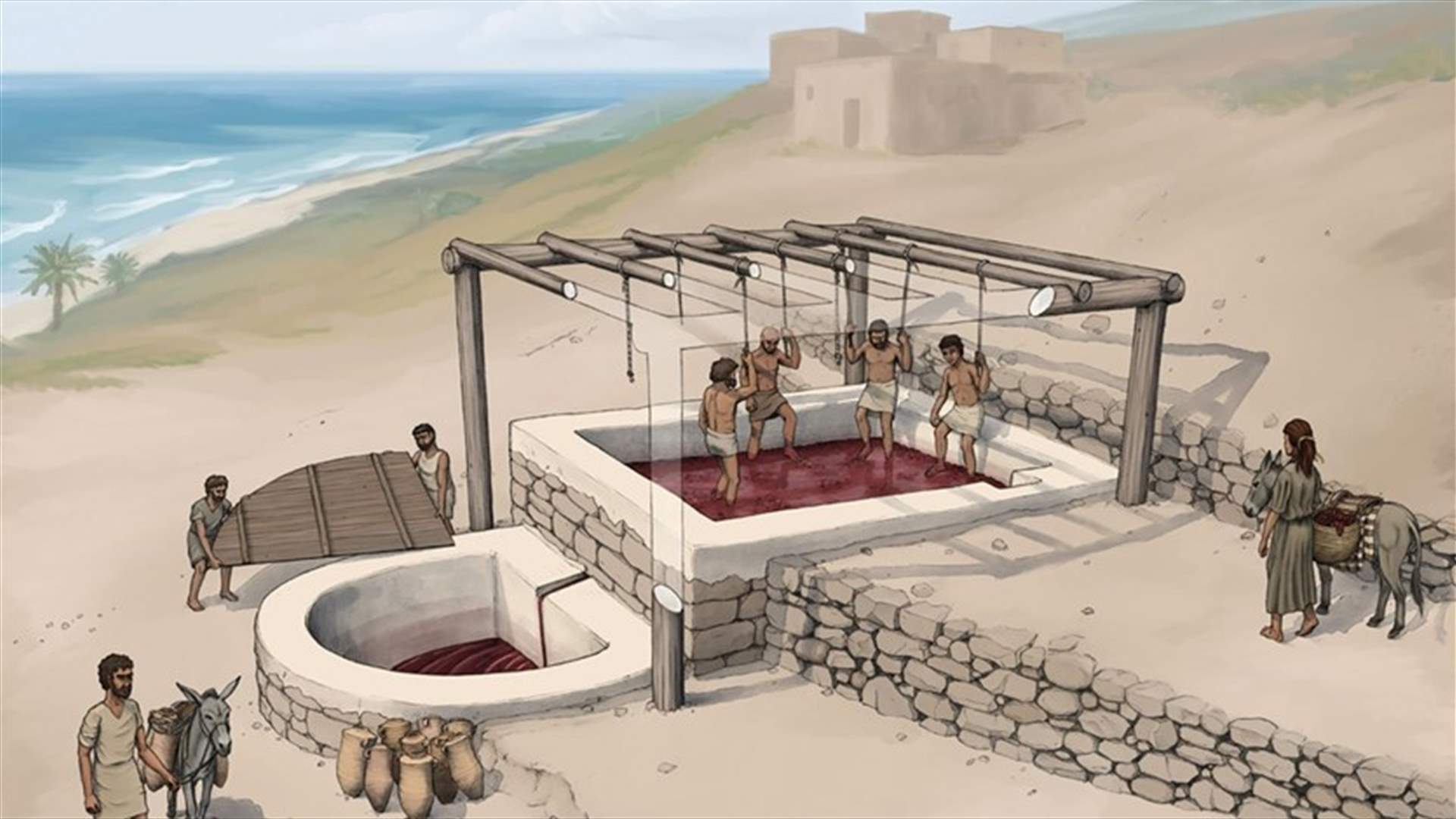 اكتشاف أثري في لبنان... أول معصرة للنبيذ تعود لزمن الفينيقيين