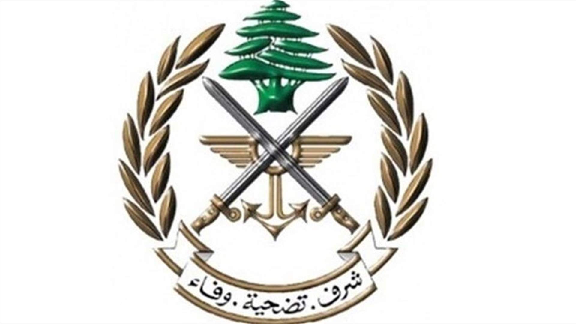 الجيش: تفكيك رافعات حديدية وإزالتها عن السفينة RAOUF H