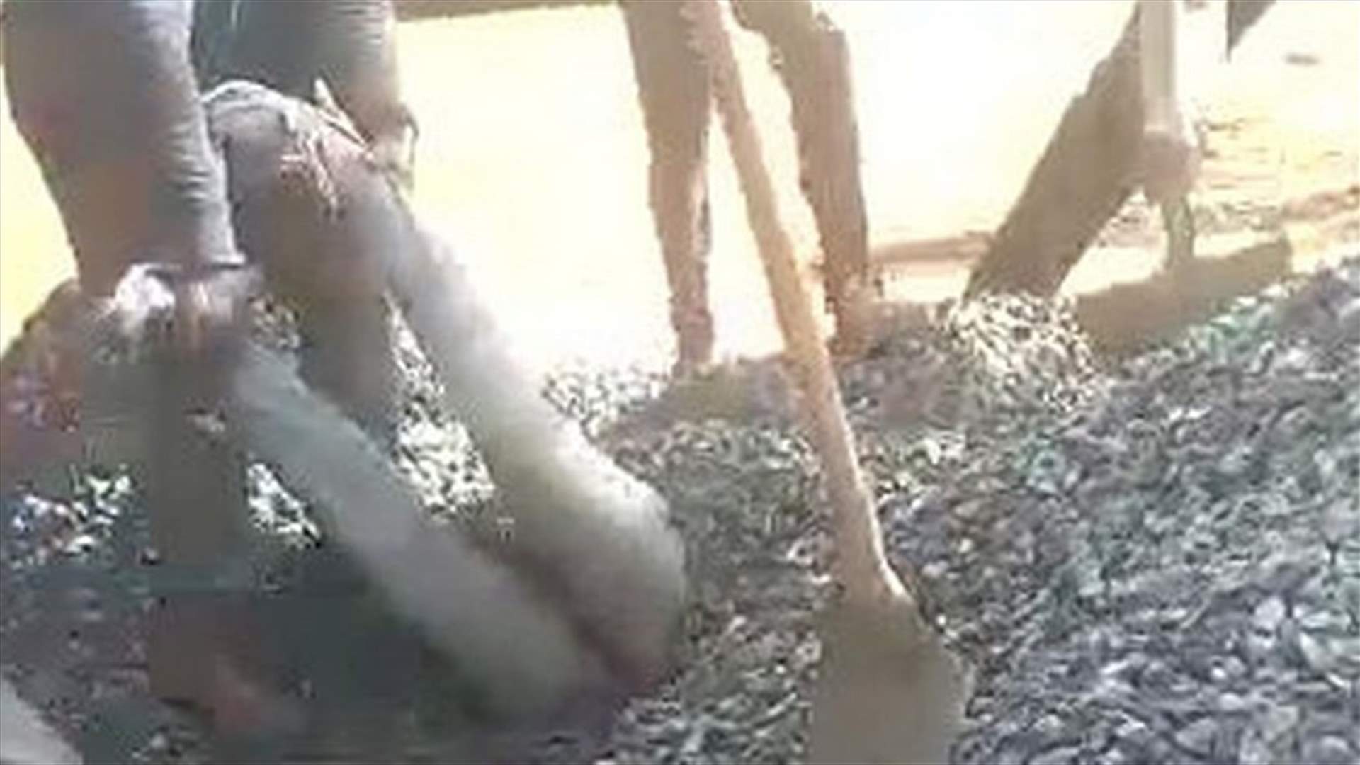 لمدة ثلاث دقائق... رجلٌ يُدفن حياً أسفل كمية كبيرة من الحصى قبل أن يتم إنقاذه (فيديو)