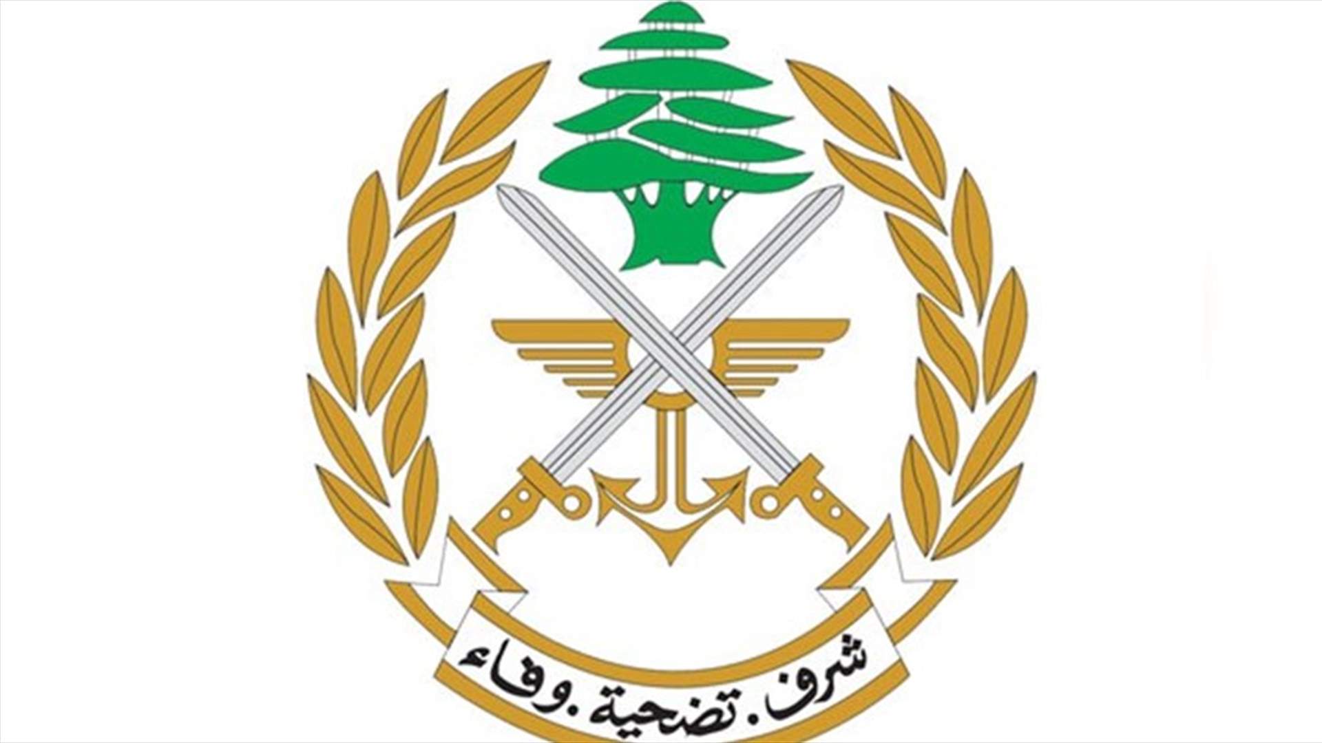 بيان للجيش بشأن انفجار عين قانا