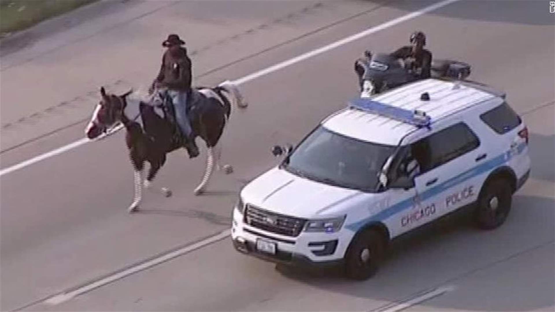 توقيف &quot;راعي بقر&quot; لركوبه الحصان وسط الطريق السريع (فيديو)