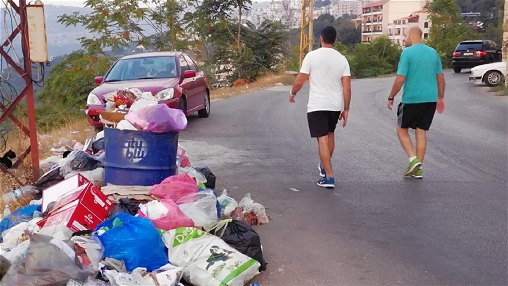 الحجار: ستعاود شركة "سيتي بلو" رفع النفايات في الإقليم والشوف
