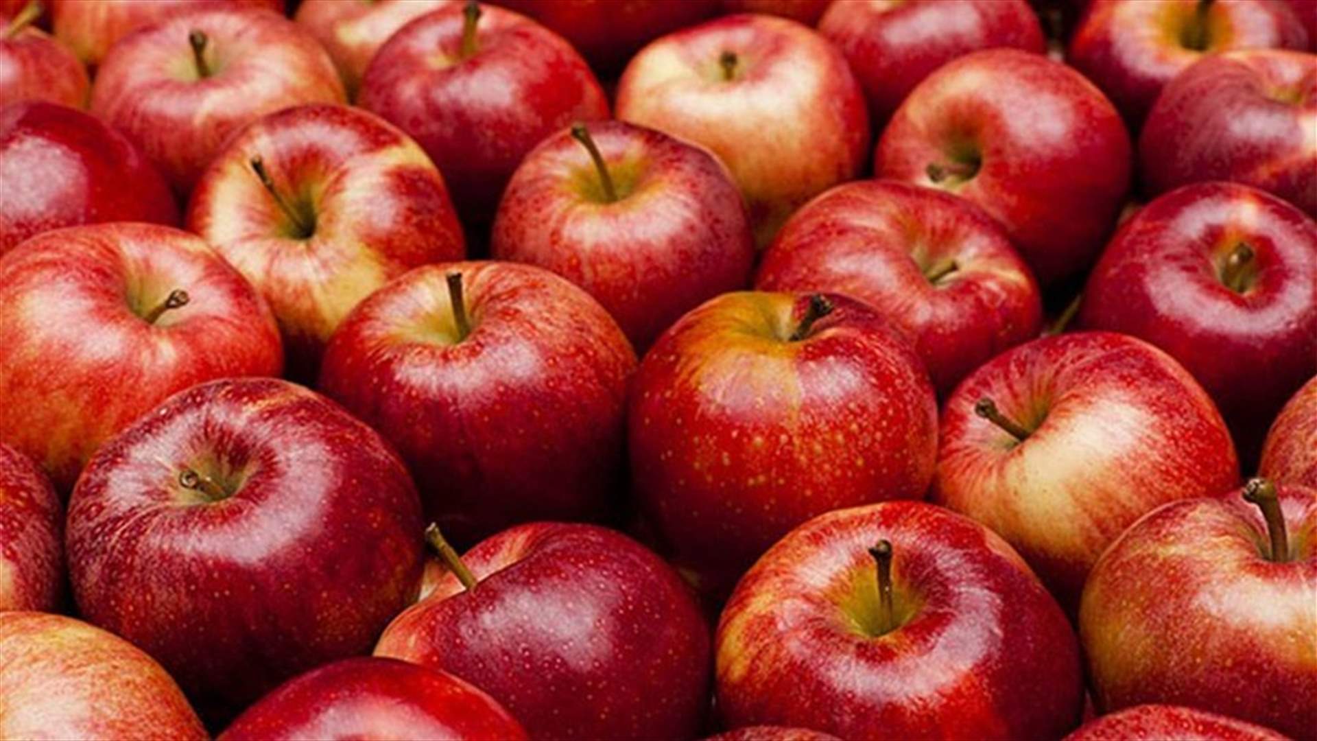 بلدية جاج أمنت للمزارعين بيع التفاح المضروب