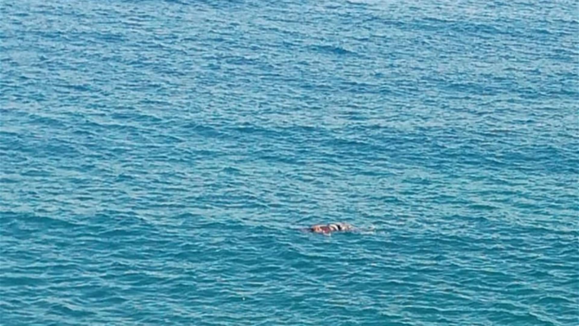 العثور على جثة فتاة قبالة ساحل القلمون (صورة)