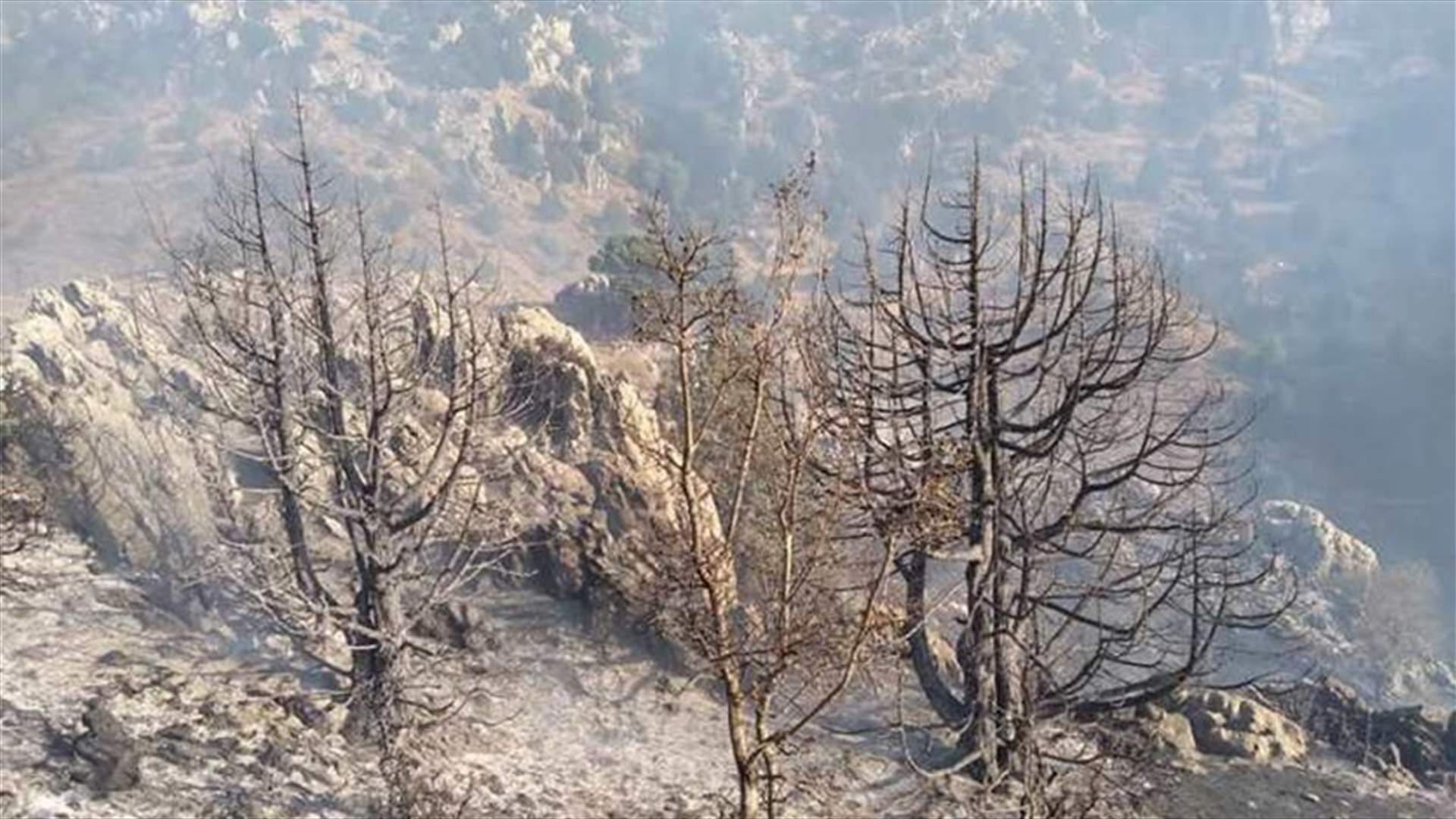 تجدد الحريق في غابة اللزاب في كفربنين ـ الضنية ومناشدات لإخماده