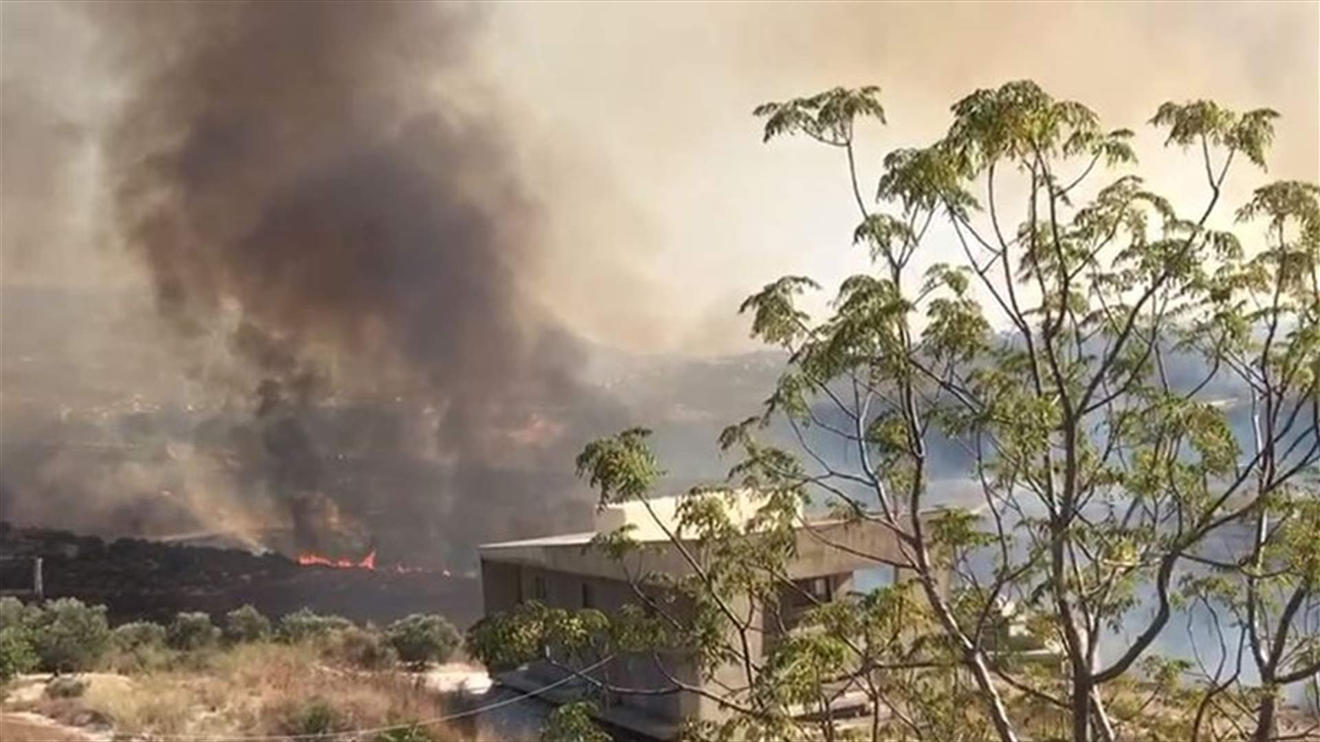 حرائق في حقول الزيتون في بلدة عين المير - جزين (فيديو)
