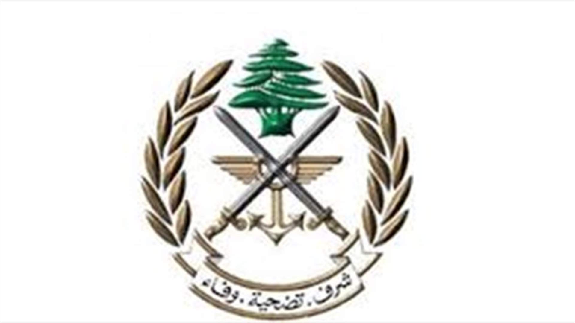 الجيش: طيران ليلا للقوات الجوية وتمارين تدريبية وتفجير ذخائر وخروق جوية معادية