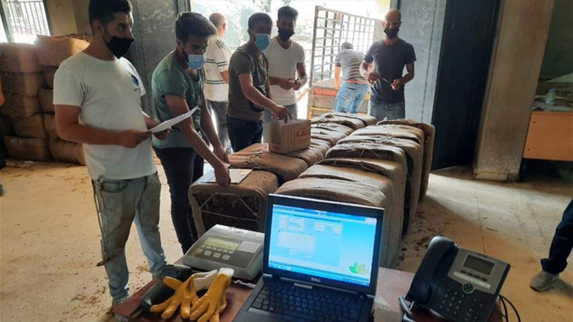 الريجي باشرت استلام محصول التبغ في مراكز صور والنبطية