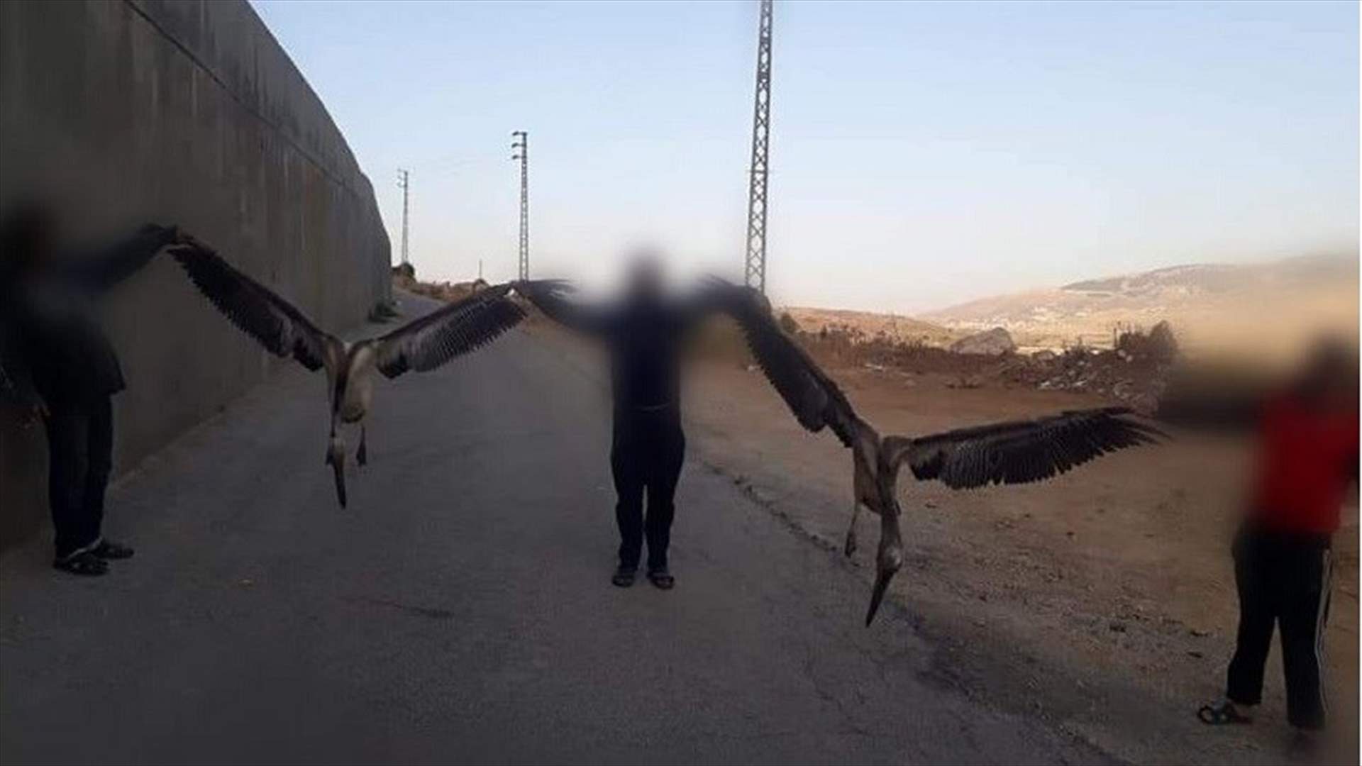 توقيف شخصين لمخالفتهما قانون الصيد البرّي...