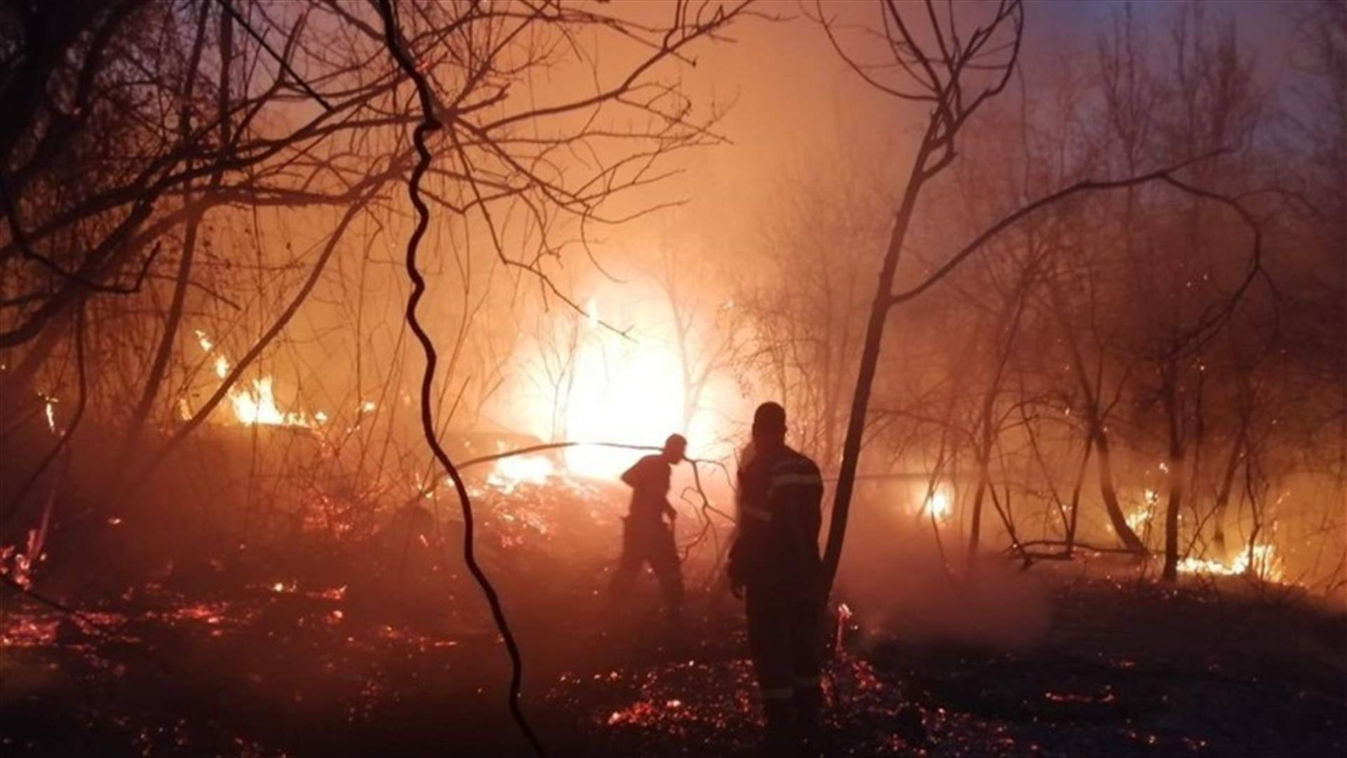 جهود عناصر الدفاع المدني تنجح في اخماد حريق أحراج الكنيسة