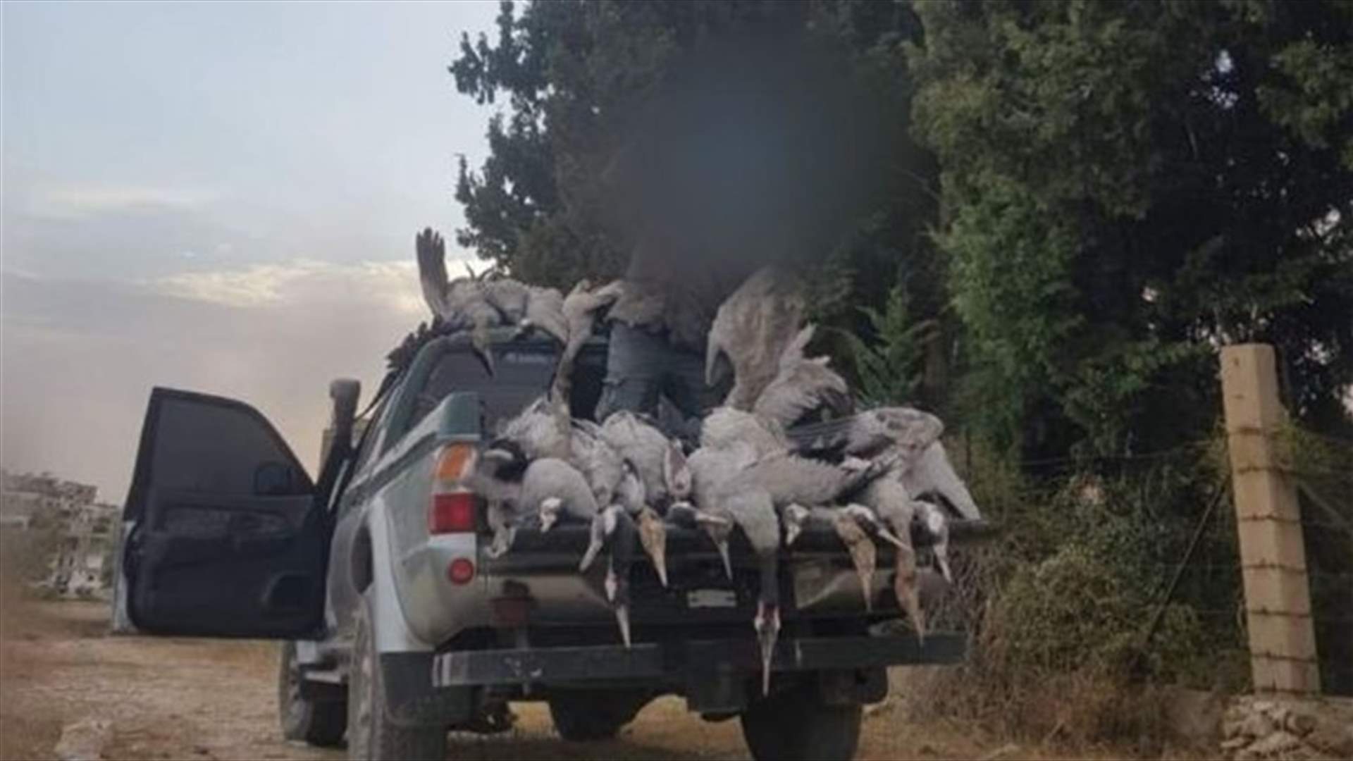 توقيف مشتبه بهم بإطلاق نار على طيور محظر صيدها