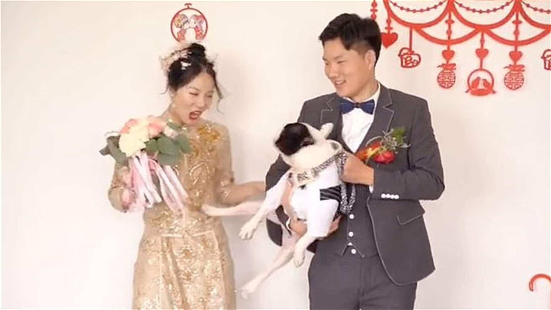 فيديو مضحك لكلب يركل صاحبته العروس يوم زفافها... أراد ابعادها عن صورته مع العريس!