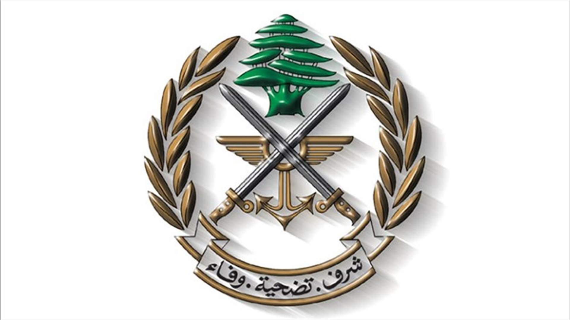 الجيش: توقيف فلسطيني في منطقة طريق المطار بحقه ملاحقات قضائية بجرائم مختلفة