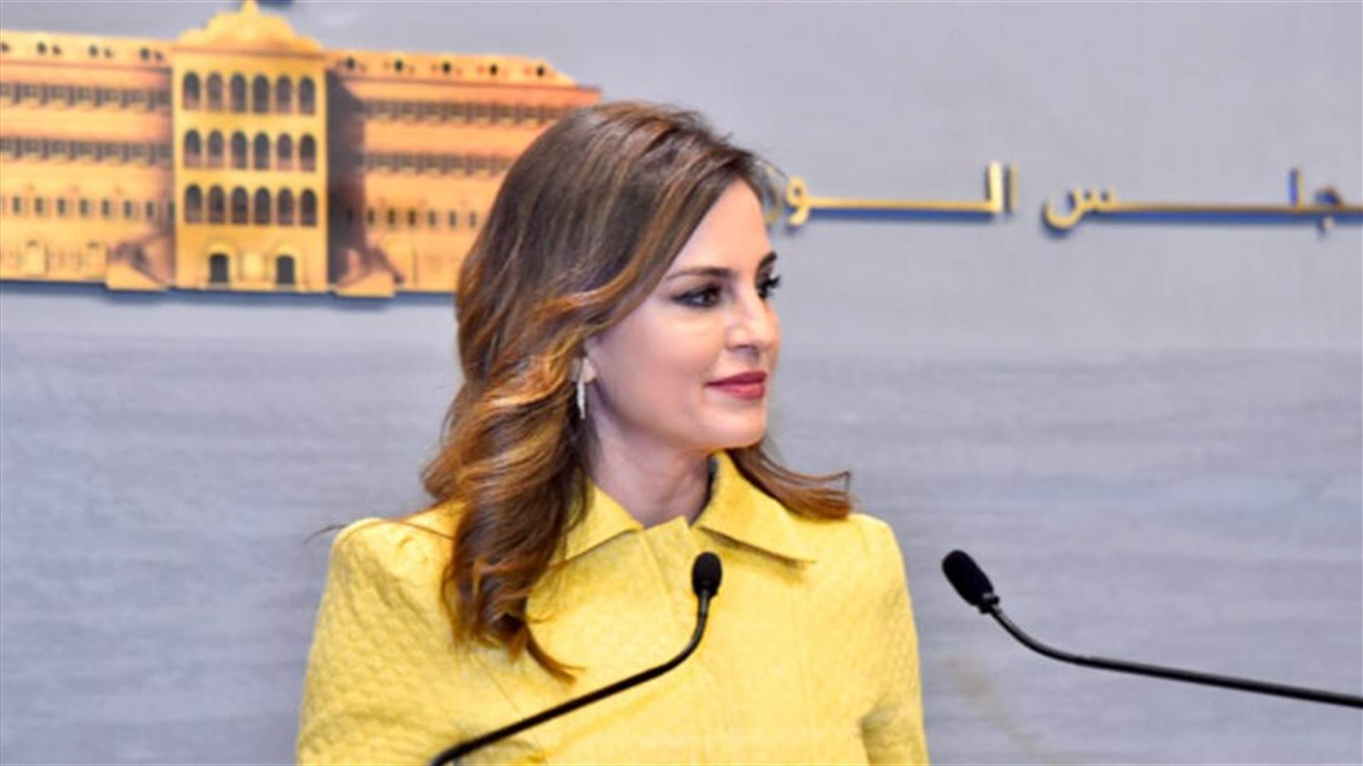 عبد الصمد أودعت أمانة مجلس الوزراء تقريرا حول ما حصل مع فريق تلفزيون لبنان في الناقورة