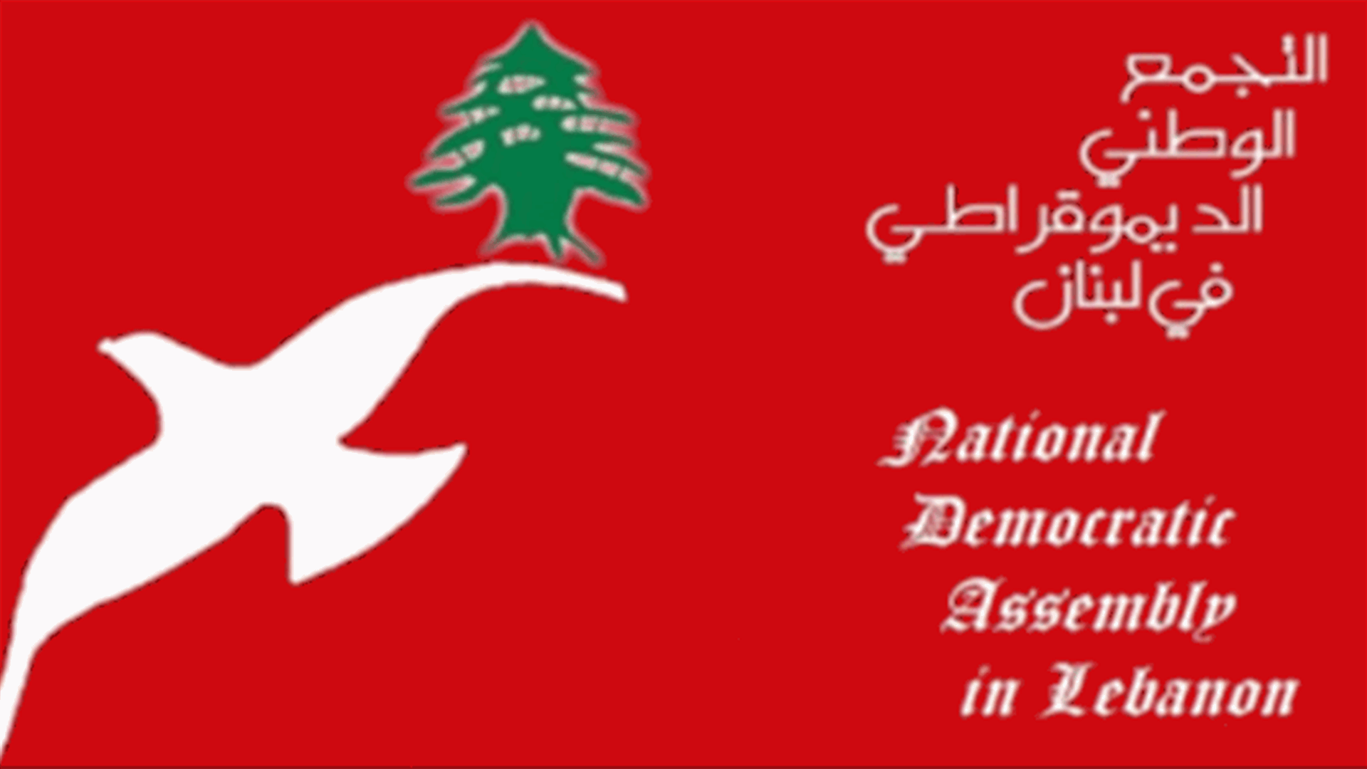 التجمع الديموقراطي استنكر التعدي على أحد الأطباء في المنية