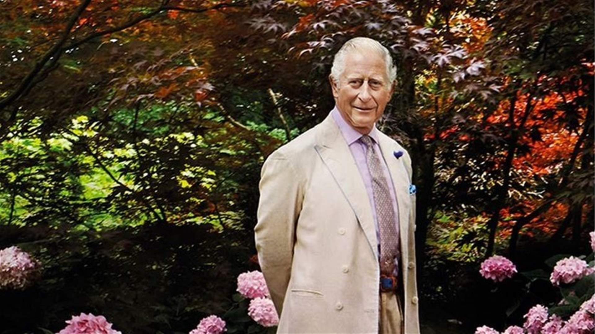 Britain&#39;s most fashionable man&#63; Vogue hails Prince Charles