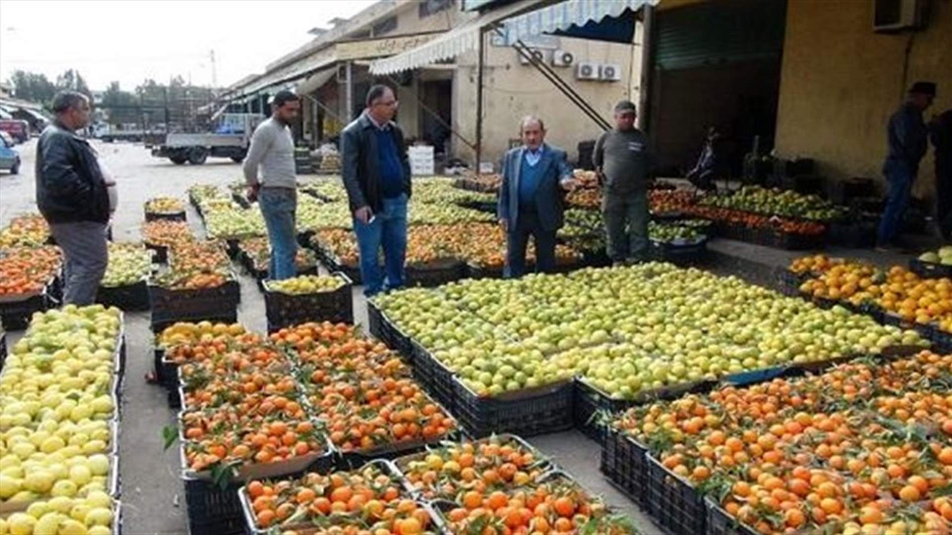 بيان لتجمع مزارعي الجنوب حول كيفية احتساب حقوق تجار الموز